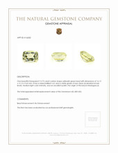 12.73 Ct. Greenish Yellow Heliodor from Madagascar Appraisal