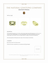 12.73 Ct. Beryl from Madagascar Appraisal