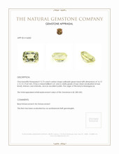 12.73 Ct. Beryl from Madagascar Appraisal