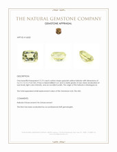 12.73 Ct. Greenish Yellow Heliodor from Madagascar Appraisal