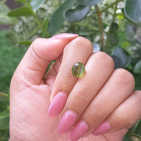 3.73 Ct. Cabochon Chrysoberyl from Tanzania Life Style