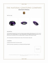 6.63 Ct. Amethyst from Brazil Appraisal