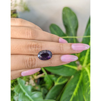 6.63 Ct. Amethyst from Brazil Life Style