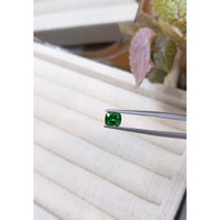 1.25 Ct. Tsavorite Garnet from Tanzania Life Style