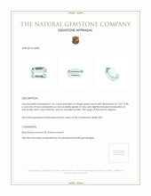 1.01 Ct. Beryl from Nigeria Appraisal