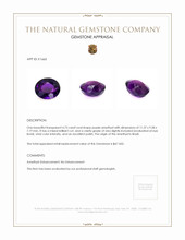 4.73 Ct. Amethyst from Brazil Appraisal