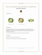 Jewelry Appraisal