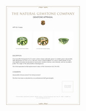 0.74 Ct. Alexandrite from Madagascar Appraisal