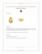 2.77 Ct. Citrine from Brazil Appraisal