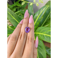 4.29 Ct. Amethyst from Brazil Life Style