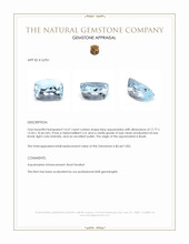 16.67 Ct. Blue Aquamarine from Brazil Appraisal