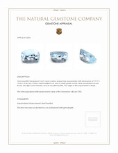 16.67 Ct. Aquamarine from Brazil Appraisal