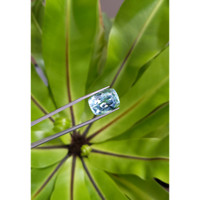 16.67 Ct. Aquamarine from Brazil Life Style
