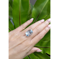 16.67 Ct. Aquamarine from Brazil Life Style
