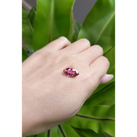 3.37 Ct. Tourmaline from Brazil Life Style