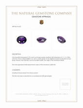 3.78 Ct. Amethyst from Brazil Appraisal