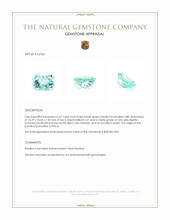 6.67 Ct. Paraiba Tourmaline from Africa Appraisal