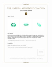 0.48 Ct. Paraiba Tourmaline from Africa Appraisal