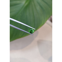 1.09 Ct. Chrome Tourmaline from Africa Life Style