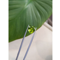 4.47 Ct. Peridot from Burma (Myanmar) Life Style