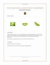 2.79 Ct. Green Peridot from Burma (Myanmar) Appraisal