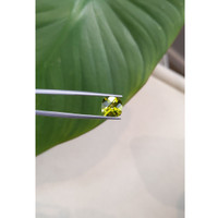 2.67 Ct. Peridot from Burma (Myanmar) Life Style