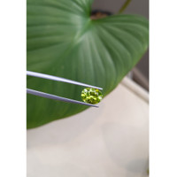 2.52 Ct. Peridot from Burma (Myanmar) Life Style