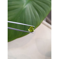 2.93 Ct. Peridot from Burma (Myanmar) Life Style