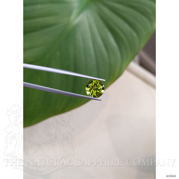 2.93 Ct. Peridot from Burma (Myanmar)