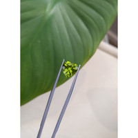 3.60 Ct. Peridot from Burma (Myanmar) Life Style