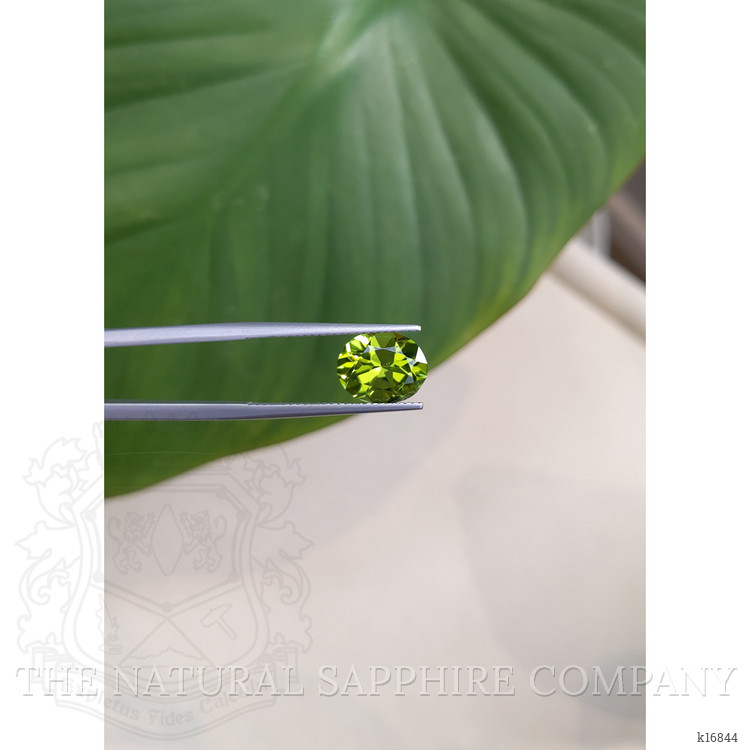 3.03 Ct. Peridot from Burma (Myanmar)