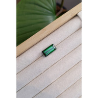 7.49 Ct. Tourmaline from Mozambique Life Style