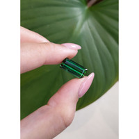 7.49 Ct. Tourmaline from Mozambique Life Style