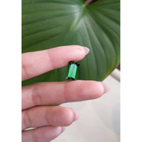 5.53 Ct. Tourmaline from Mozambique Life Style