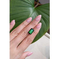 5.53 Ct. Tourmaline from Mozambique Life Style