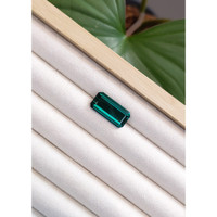 10.96 Ct. Tourmaline from Mozambique Life Style