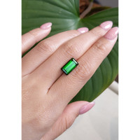 4.79 Ct. Tourmaline from Mozambique Life Style