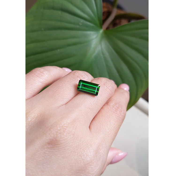 4.79 Ct. Tourmaline from Mozambique
