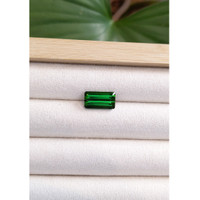4.79 Ct. Tourmaline from Mozambique Life Style