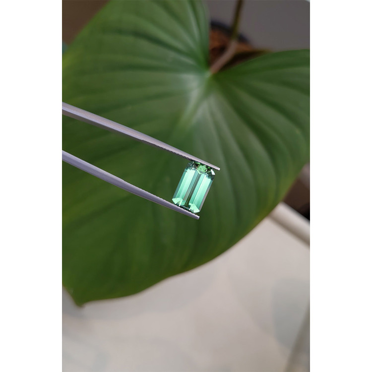 3.51 Ct. Tourmaline from Mozambique