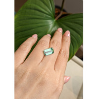 3.51 Ct. Tourmaline from Mozambique Life Style