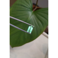 3.51 Ct. Tourmaline from Mozambique Life Style