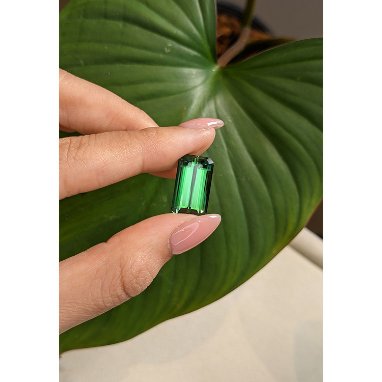 13.06 Ct. Tourmaline from Mozambique