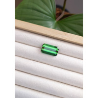 13.06 Ct. Tourmaline from Mozambique Life Style