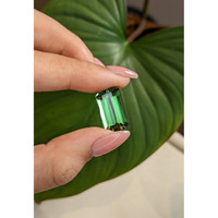 13.06 Ct. Tourmaline from Mozambique Life Style