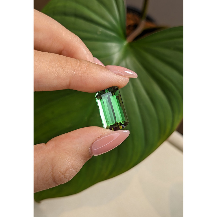 13.06 Ct. Tourmaline from Mozambique