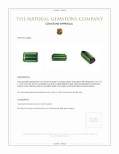 5.36 Ct. Tourmaline from Mozambique Appraisal