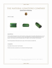 5.36 Ct. Green Tourmaline from Mozambique Appraisal