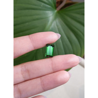 5.36 Ct. Tourmaline from Mozambique Life Style