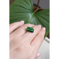 5.36 Ct. Tourmaline from Mozambique Life Style